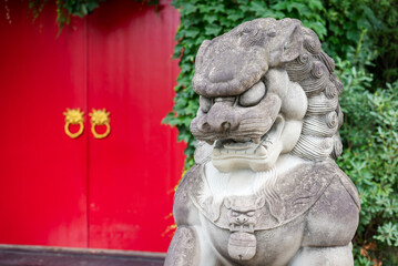 Chinese lion stone statue and red door in Chengdu, Sichuan province, China