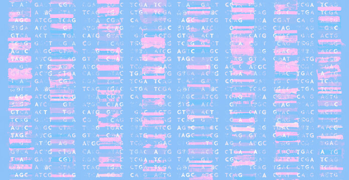 Genomic data visualization and GATC with grunge image technique