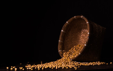 Photo of soybean seeds spilling from their container on a black background. Suitable for design elements of agricultural products, healthy food, and organic food.