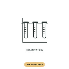examination icons  symbol vector elements for infographic web
