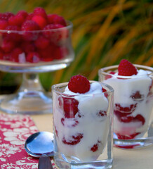 himbeeren mit quark gesunde nachspeise 