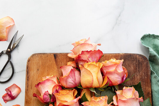 colorful roses prepared for a bouquet 