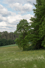 Fototapeta na wymiar Landschaft im Ilm-Kreis