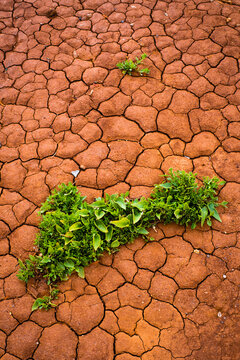 Arid terrain.