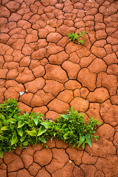 Arid terrain.