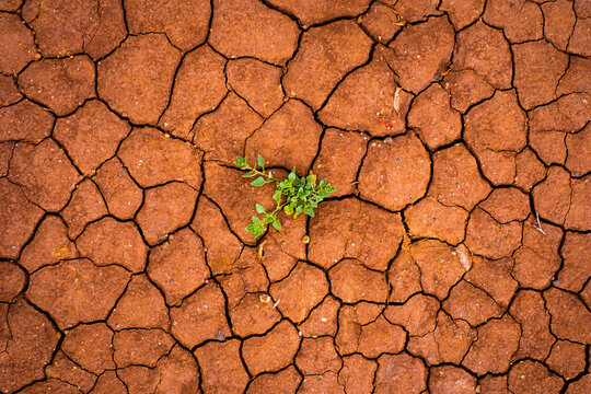 Arid terrain.