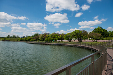 footpath along the lake in city park
