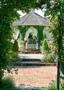 Garden Gazebo