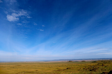 African wilde life. Kenya.