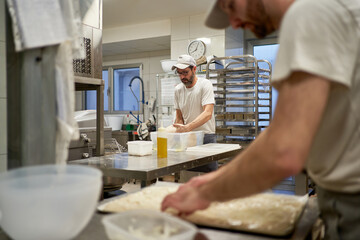 Male bakers working in bakery