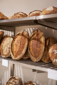 Loaves of bread in bakehouse