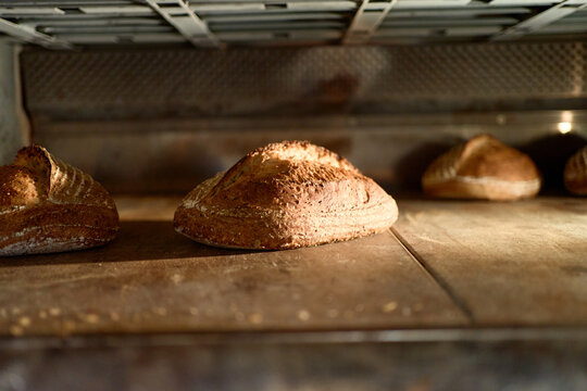 Bread loafs in professional oven