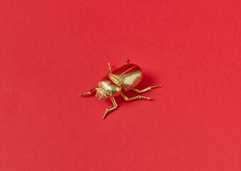 Golden beetle on red background