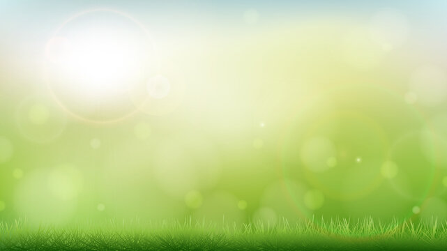 Morning spring summer green nature blurred bokeh background and grass