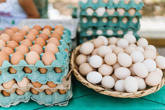 Fresh organic eggs at a market