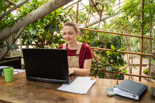 Young Woman Working In Arbour