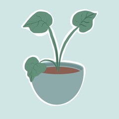 Beautiful minimalist template with a plant.Plant in a pot.Nature and plants.Beautiful green plants in a pot.Cute illustration with a plant.