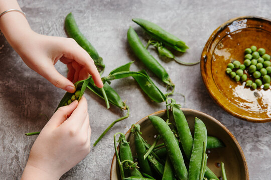 Podding fresh peas