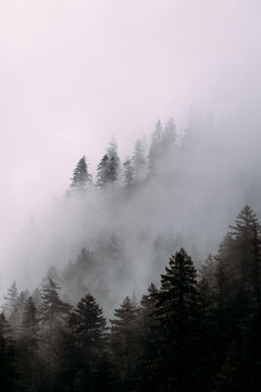 Fog rolling through the mountains