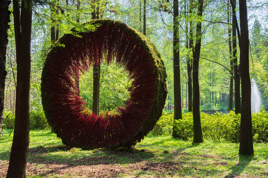 Forest fountain landscape in the park