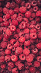 raspberry