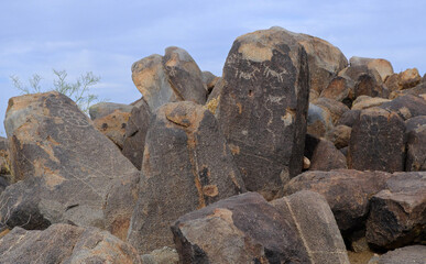 the ancient native american signal mountain petroglyphs on signal hill in the tucson mountain district of saguaro national park  near tucson in southern arizona