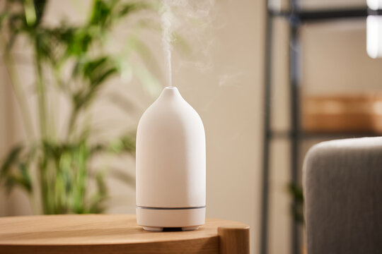 Essential oil diffuser in living room