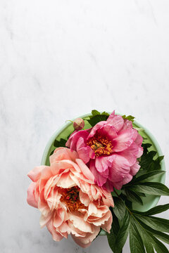 centerpiece of pink and coral peonies 