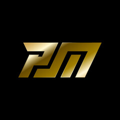 pm logo
