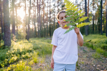 A preschool boy explores nature. A small child looks at a fern leaf. Kid covering half of his face with a fern leaf.