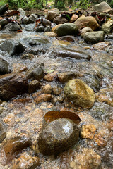 Stream running fast in summer green forest