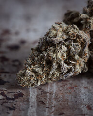 Cannabis buds trimmed and dried against a neutral light background
