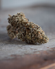 Cannabis buds trimmed and dried against a neutral light background