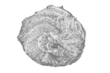 Black Halftone Texture On White Background. Modern Dotted Futuristic Backdrop. Fade Noise Overlay. Digitally Generated Image. Pop Art Style. Vector Illustration, Eps 10.