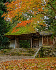 美し法然寺紅葉景色