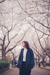 Fototapeta na wymiar 桜並木と女性