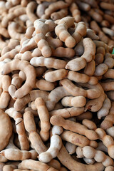 Daily life in Asia. Vietnam.