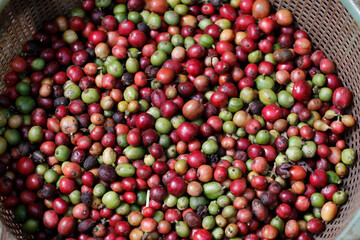 Daily life in Asia. Vietnam.