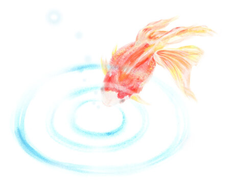 リアル魚イラスト の画像 530 件の Stock 写真 ベクターおよびビデオ Adobe Stock