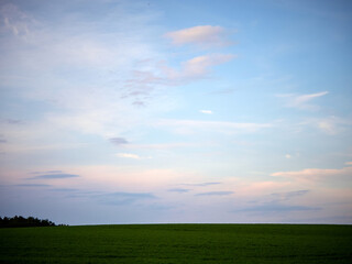 spring sown field and sky at sunset