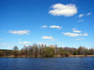 Spring landscape. Forest near the river and blue sky with white clouds.