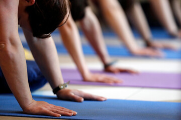 Daily life in France.