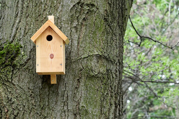 Fototapeta premium Birdhouse nailed to a tree. New home for birds.