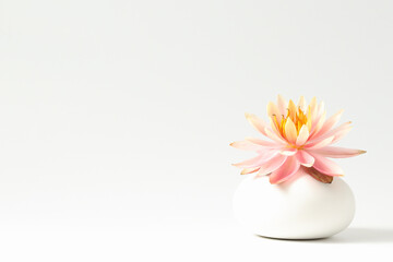 Pink lotus flower in a white vase