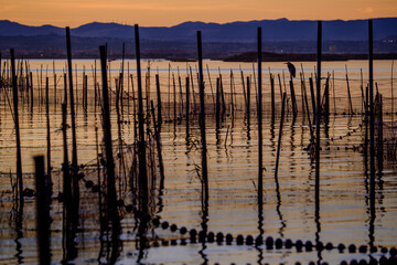 Albufera Sunset 006