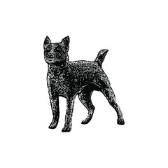 feist dog hand drawing vector illustration isolated on background