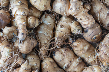 Group of fresh jerusalem artichokes background, close up, top view