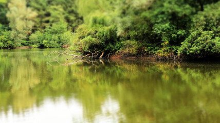 water and reflections in Wachtebeke, Belgium