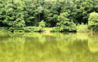 water and reflections in Wachtebeke, Belgium