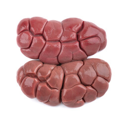Beef kidney isolated on white background. Closeup. Raw cow kidney.